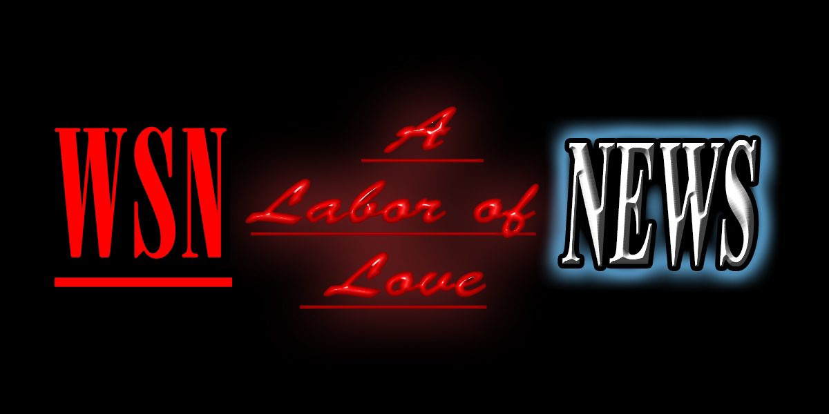 WSN NEWS we are well oveer 24 hours of Creator interviews Marathon we call the labor of Love