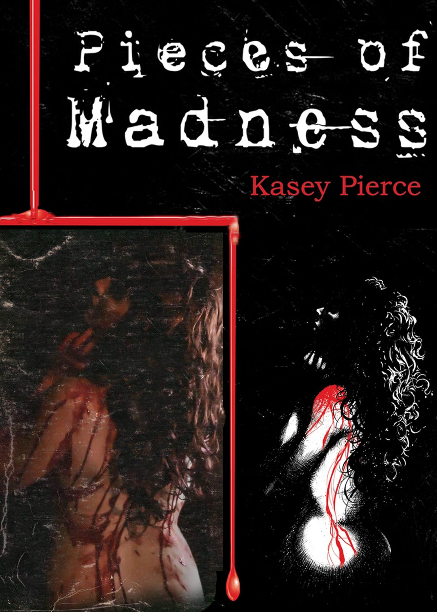Last Chance to get  Pieces of Madness: The Expanded Mind of Kasey Pierce