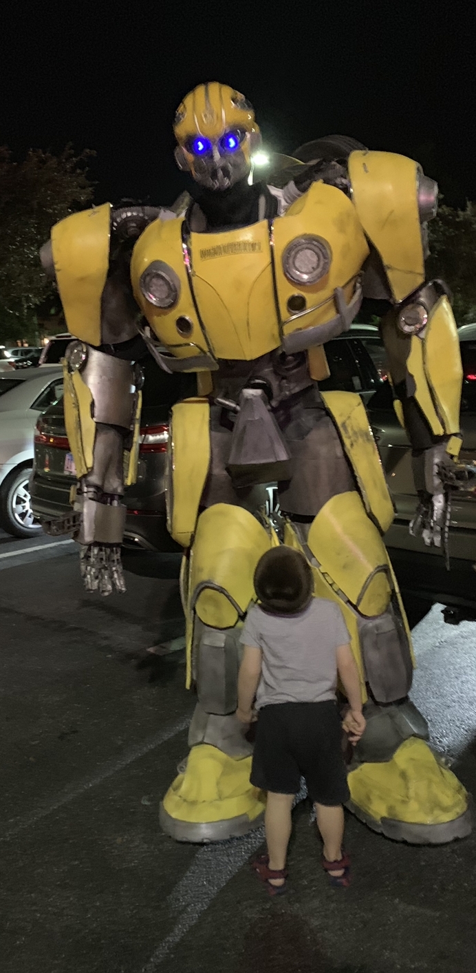 THE BUMBL​​E BEE Buzzing Review from Mr. ​AnderSiN a ANderSiN Video Review::  in 3 mins or less